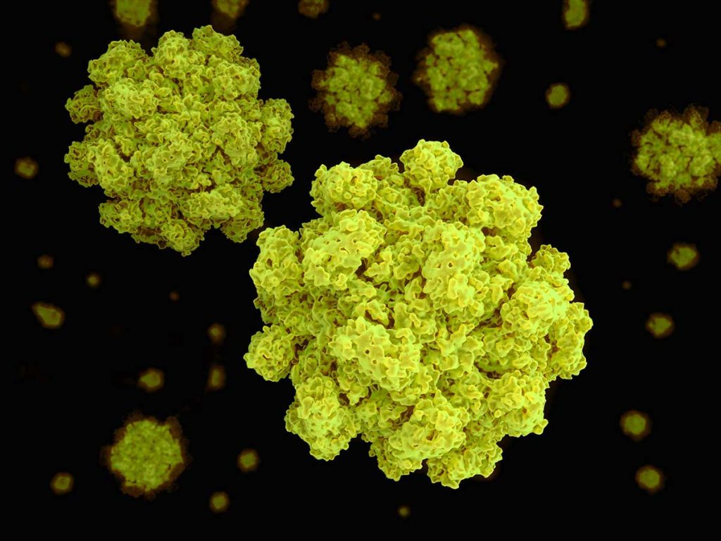 Infectia cu Norovirus, de mare actualitate